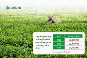 Bangladesh Tea Board